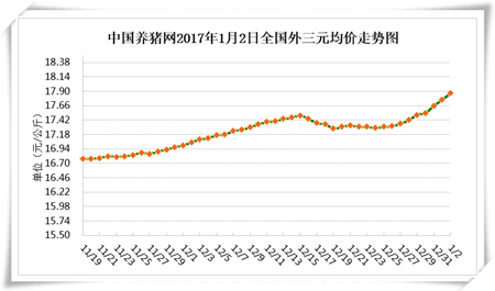 1月2日猪评：涨到了18.74元/公斤! 如果明天猪价能破九……