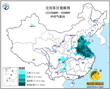 腾云驾雾！大雾红色预警推动猪价突破18元/公斤