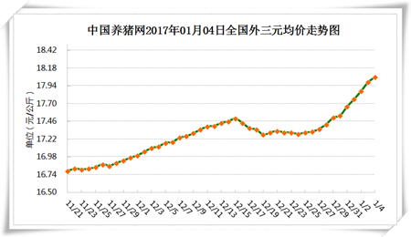 1月4日猪评：猪价大涨刺激消费 春节备货紧锣密鼓