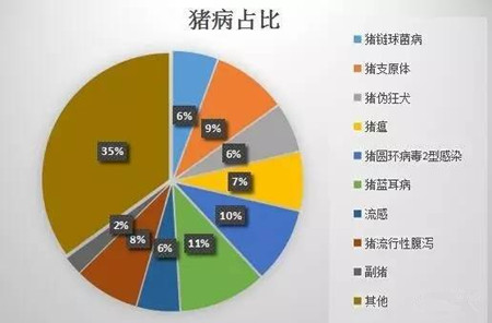 2016年哪些病毒性猪病是猪场常发的？