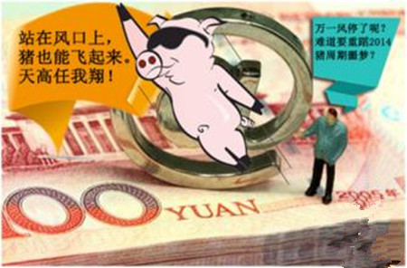 养猪大户的忧虑与企盼