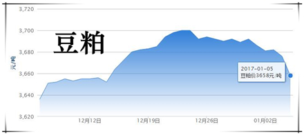 1月5日猪评：猪价重归18元 后期走势需谨慎关注