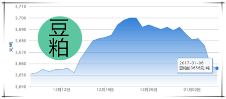 1月6日猪评：还在涨 猪价天花板会不会是18.75元/公斤?