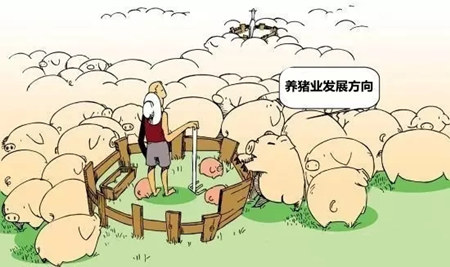 2017年我国养猪业的七大变局与方向！一定要看！