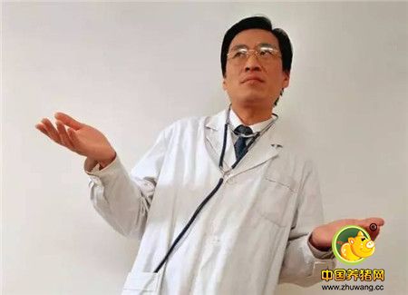 这些年，我们是怎么对待猪的？
