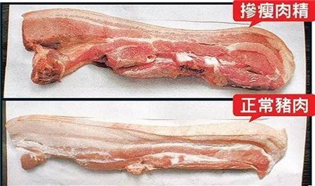 这些年，我们是怎么对待猪的？