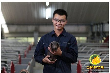 网易猪场内部曝光：6个人养2万头猪场原来是这样子!