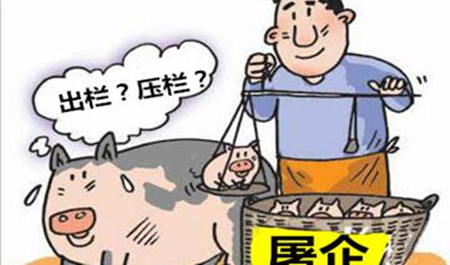 猪价暴涨暴跌，环保风暴侵袭，2017年如何养猪才能赚大钱？