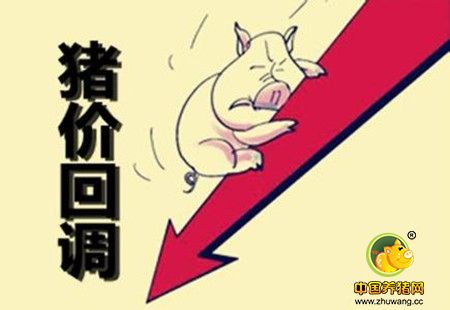 猪价已跌，肉还涨！屠宰企业满满都是套路！