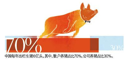 猪价突破三年最高水平，养猪致富的四大新招