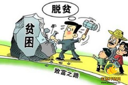 海口扶贫干部自立“军令状”帮忙卖黑猪