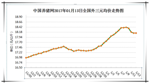 1月13日猪评：下跌的那一抹绿！猪价未来几天反弹空间不大