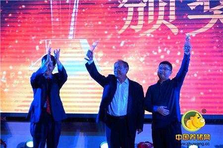 东方澳龙集团2016年年度表彰大会隆重举行