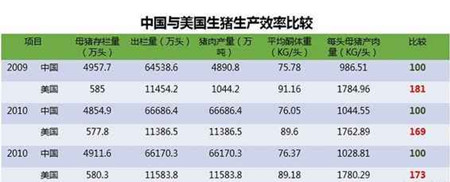 美国养猪效率是我们的1.8倍! 归根结底, 竟是自繁自养惹的祸?
