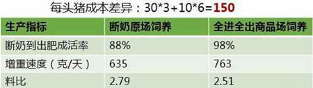 美国养猪效率是我们的1.8倍! 归根结底, 竟是自繁自养惹的祸?