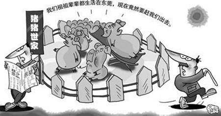 史上最严禁养令颁布后,养猪户到底应该怎么养?