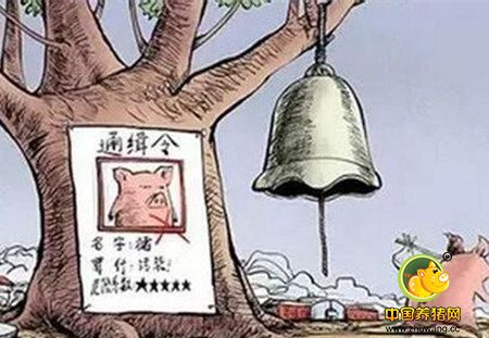 禁养!禁养!到底让我怎么养