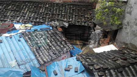 防城港一住户居民区内“任性”养猪 周围臭不可闻