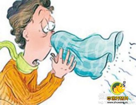 经验分享：猪呼吸道疾病:我是这样做的