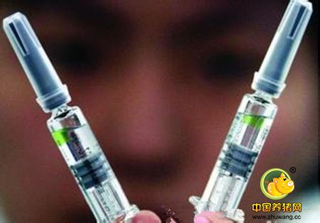 低聚木糖这边独好——宜宾雅泰生物科技有限公司