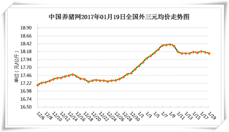 1月19日猪评：消费未出现明显提升 猪价上涨仍缺乏动力