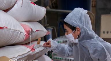 85后最美女猪倌：我是一个愿意吃苦的养猪农民