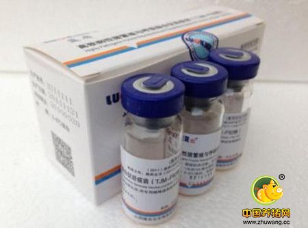 猪场疫苗怎么做？为你掀开养猪业的疫苗盖头