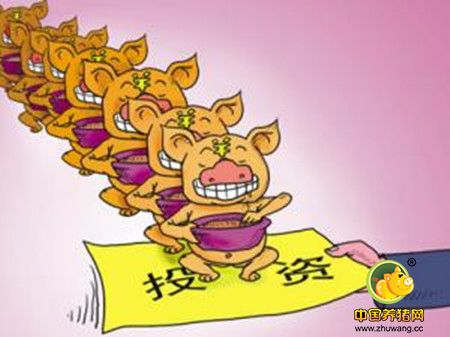 天兆、双胞胎、牧原、天邦等纷纷入驻黑龙江养猪