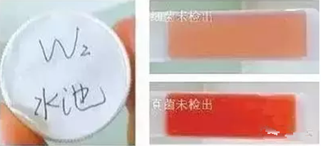  水质原来这么重要，你的猪喝到干净水了吗？