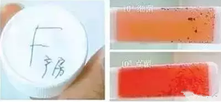  水质原来这么重要，你的猪喝到干净水了吗？