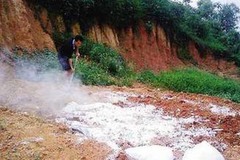 泰安:养猪户污染环境 查处后已被叫停