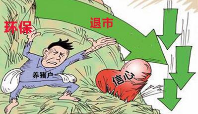 环保限养政策下,后备猪如何培育才能取得良好的收益呢?