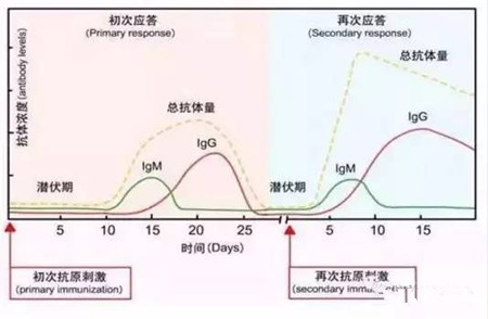 猪场用苗后口蹄疫没防住的原因!口蹄疫免疫抗体的消长规律?