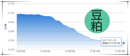 1月24日猪评：抵乡人员增多带来消费利好 春节前猪价将涨