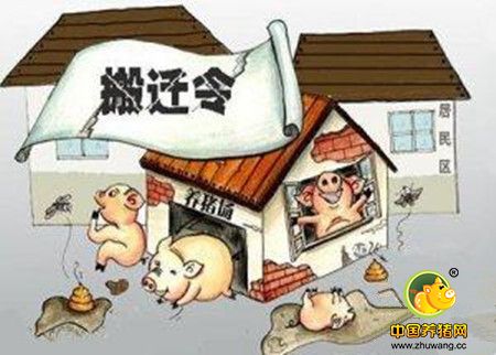 有些地方关闭80%以上养猪场 媒体:何必拒猪千里之外