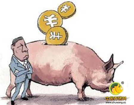 私自屠宰贩卖猪肉 男子非法经营获刑