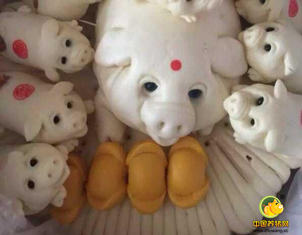 养猪人蒸馒头蒸出一窝猪和四个金元宝，大写的服！