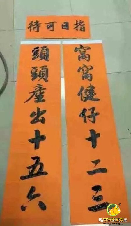 猪场最霸气春联问世！养猪人好有才！