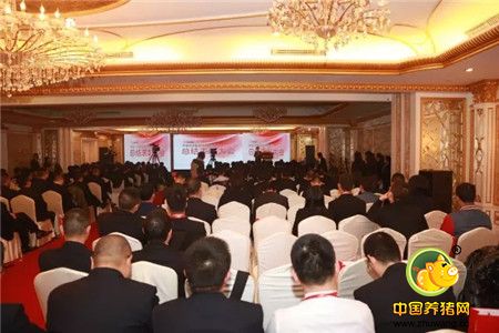 特驱集团2016年度总结表彰大会隆重举行