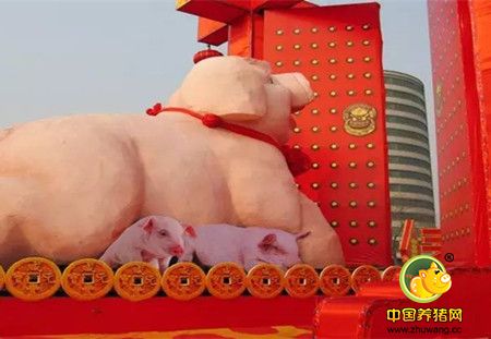 正月初三是猪日 今天你家“二师兄”拱门了嘛？