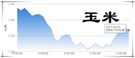 2月1日猪评：猪价小幅下跌省市均多 进口猪肉仍将掣肘猪价