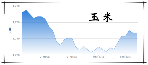 2月2日猪评：冬天即将过去，猪价的春天还会远吗?