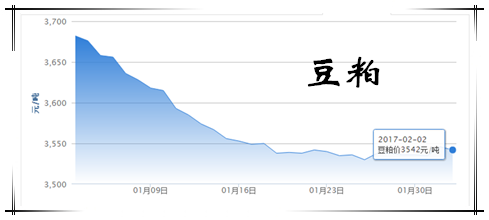 2月2日猪评：冬天即将过去，猪价的春天还会远吗?