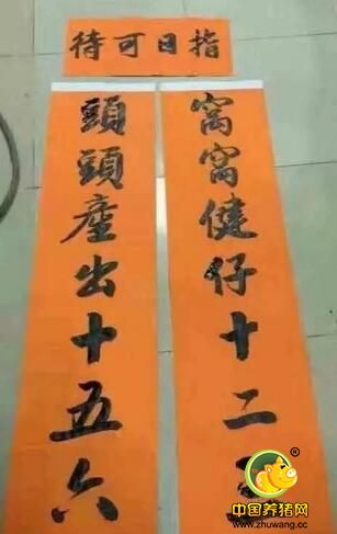 猪场最霸气春联大全,真是高手在民间!