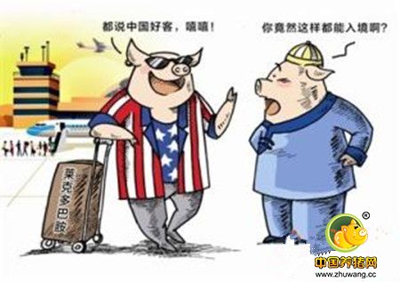 为什么美国养猪业现在还可以使用瘦肉精?