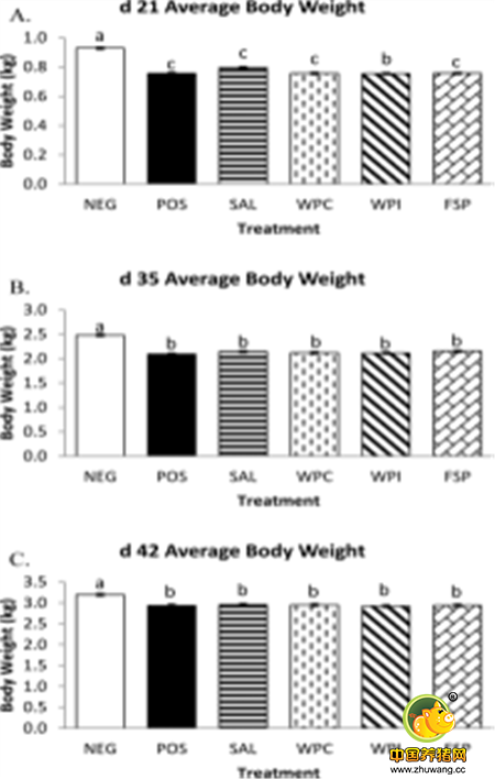 微生态制剂对畜禽免疫功能影响的研究进展