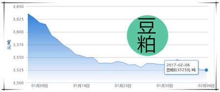 2月6日猪评：东北猪价大跌西南出现反弹 天气利好猪价能涨?