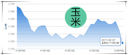 2月7日猪评：猪价下跌不要慌 适度压栏猪价能回涨