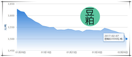 2月7日猪评：猪价下跌不要慌 适度压栏猪价能回涨
