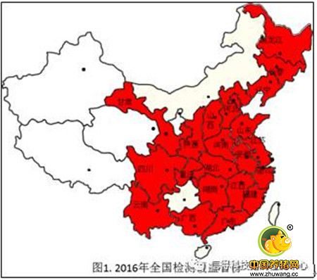 猪病检测中心2016年100-300头猪场检测结果统计